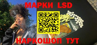 индика Новодвинск
