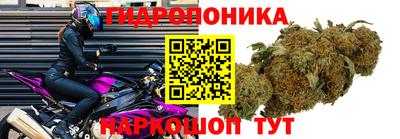 соль курить ск Нальчик