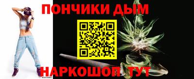 индика Новодвинск