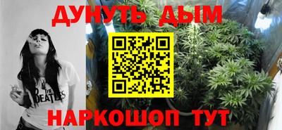 индика Новодвинск
