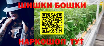 индика Новодвинск