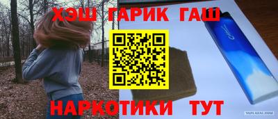 индика Новодвинск